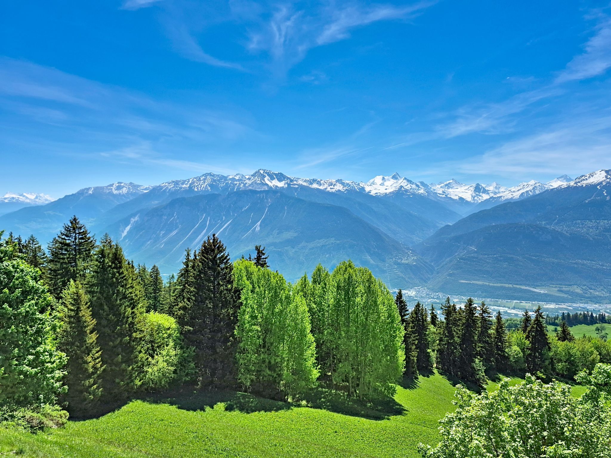 Clairière des Barzettes A16