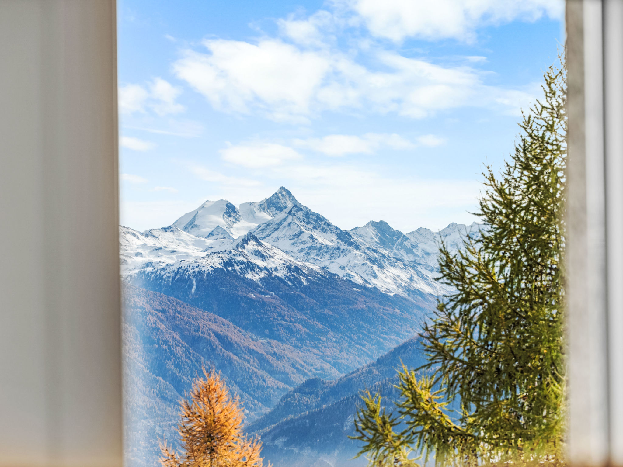 Photo of La Roseraie B 24