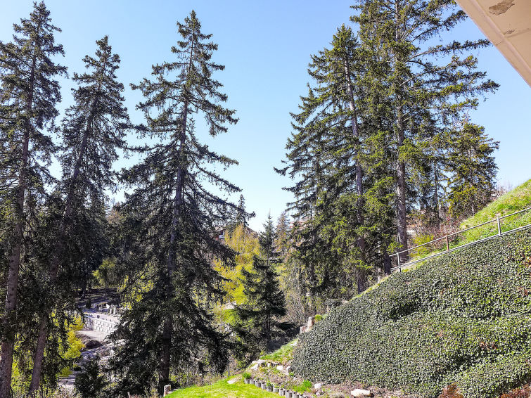 Photo of Les Faverges 5