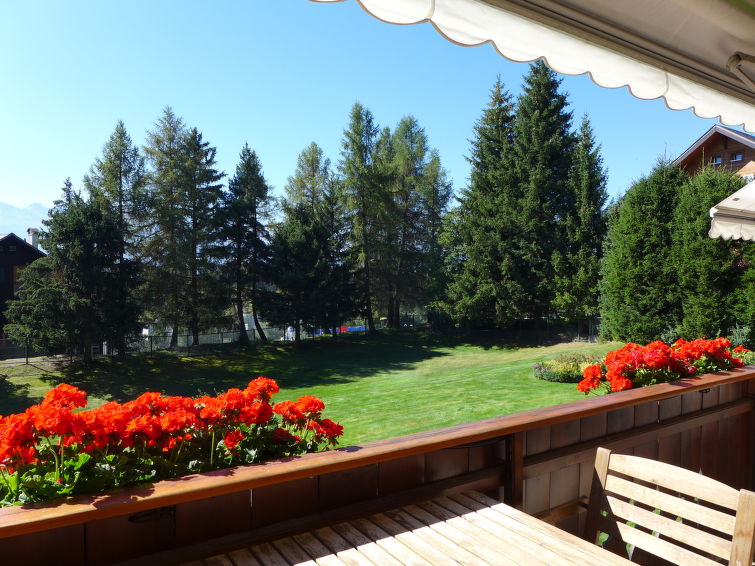 Photo of Les Pierres C 6