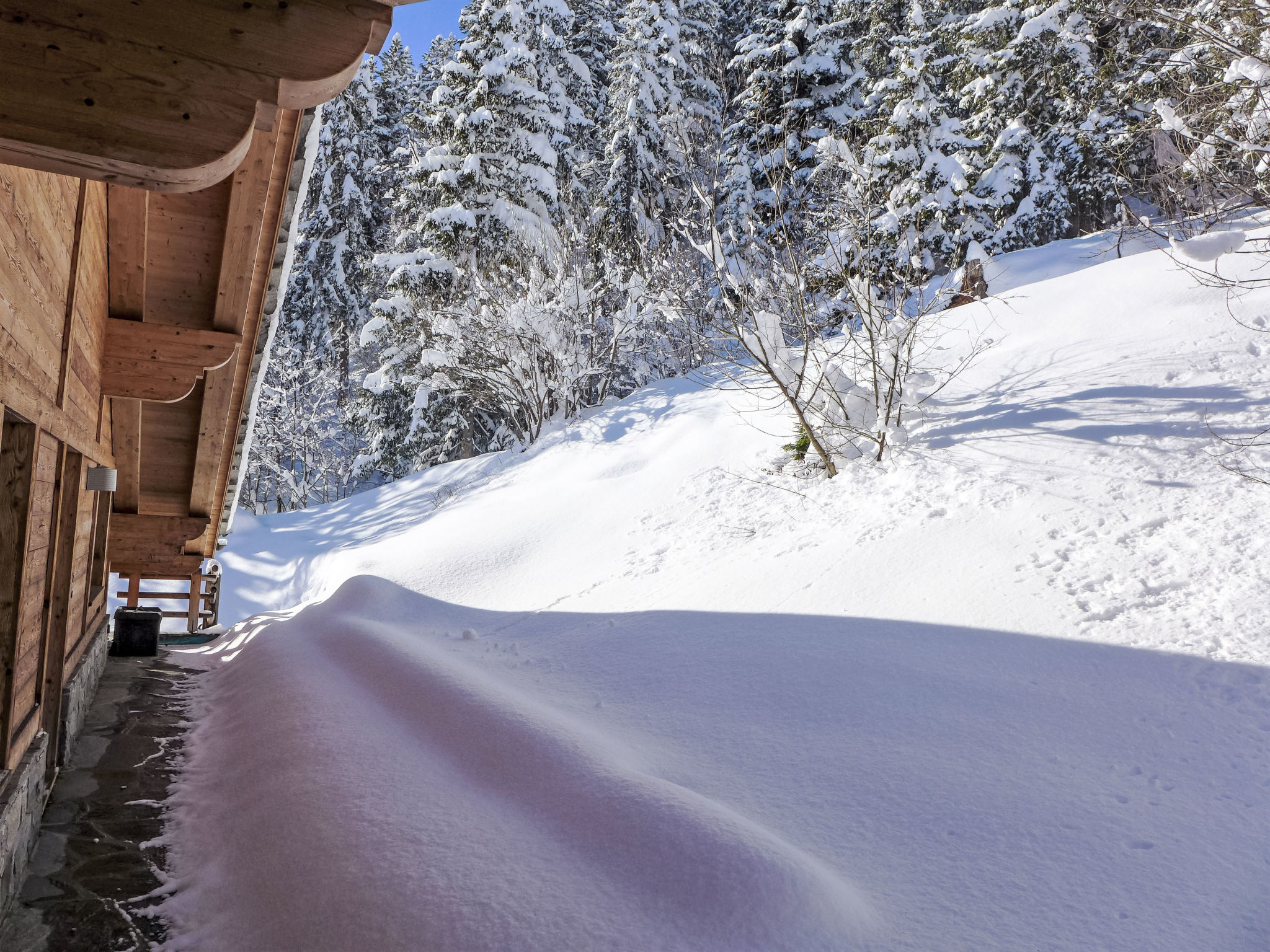 Photo of Chalet Astoria 6