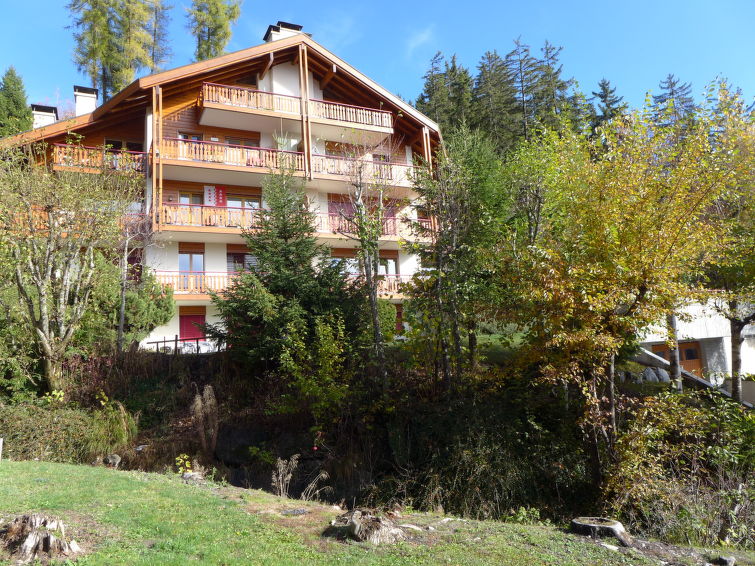 Photo of Le Torrent