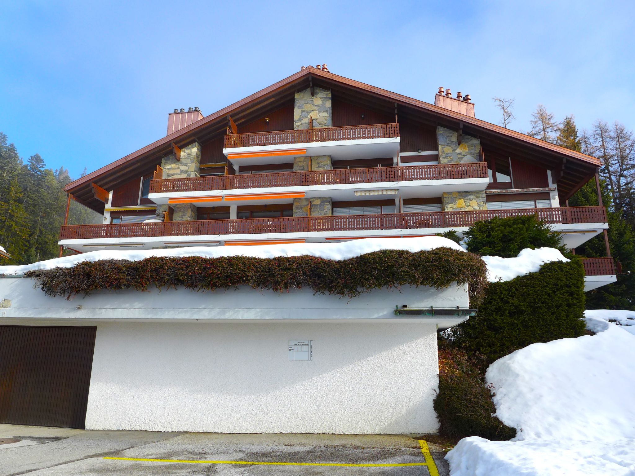 Photo of Robin des Bois B 15