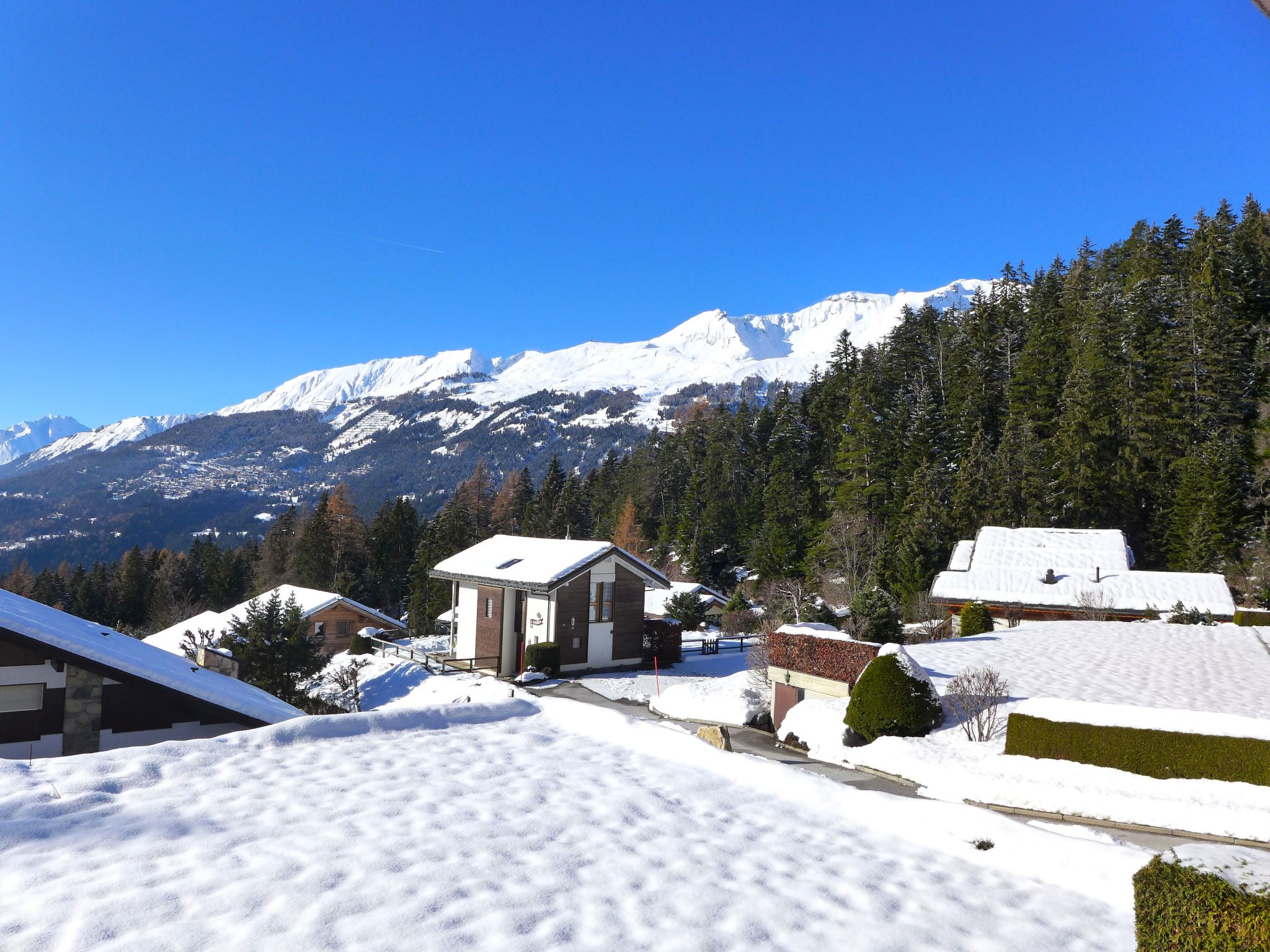 Photo of Robin des Bois B 15