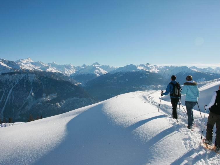 Photo of Terrasse des Alpes