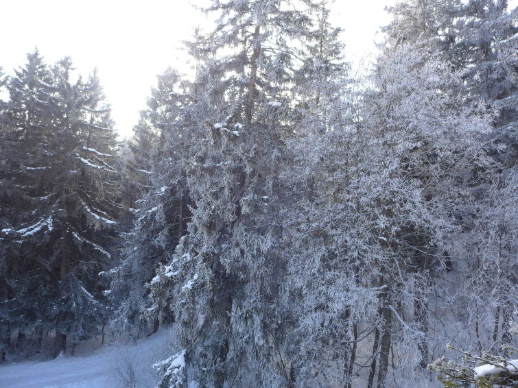 Photo of Terrasse des Alpes