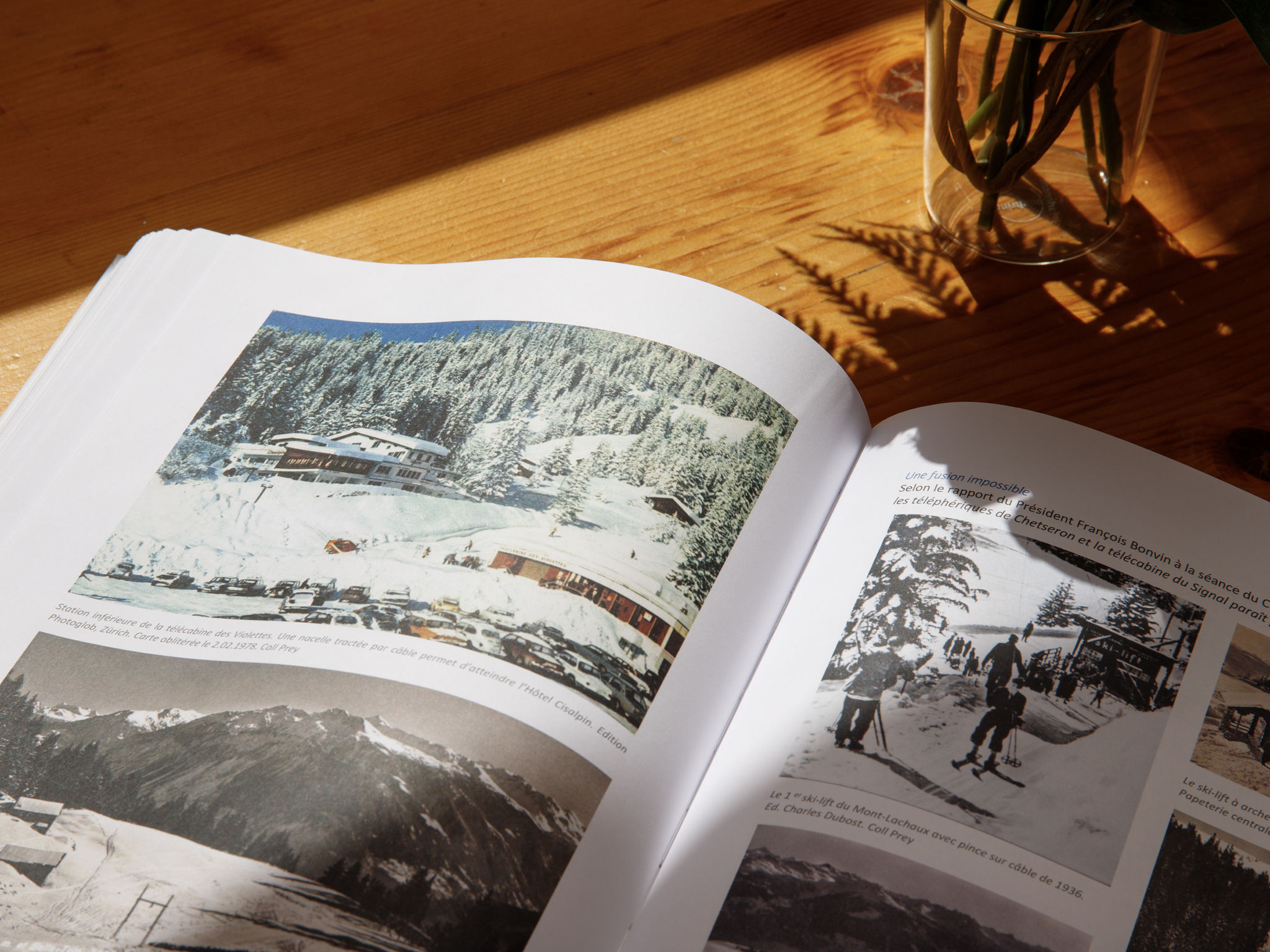 Photo of Terrasse Des Alpes 917