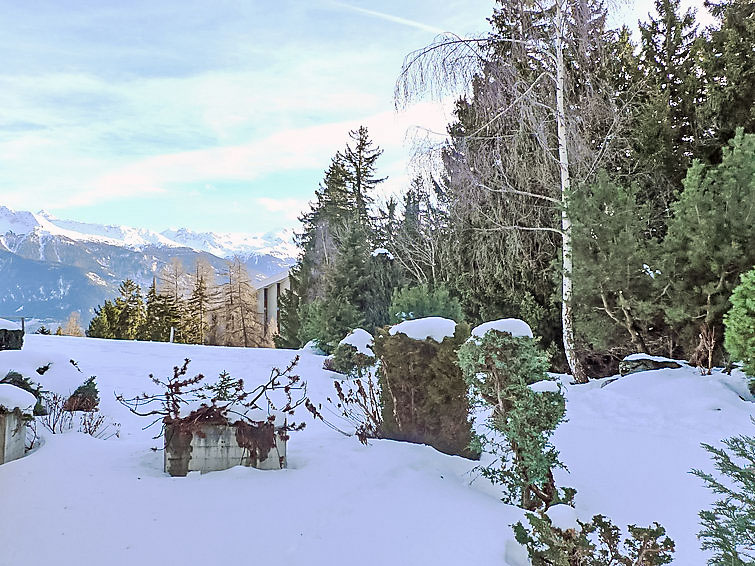 Photo of Terrasse des Alpes