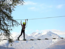 Appartement SWISSPEAK Resorts Vercorin