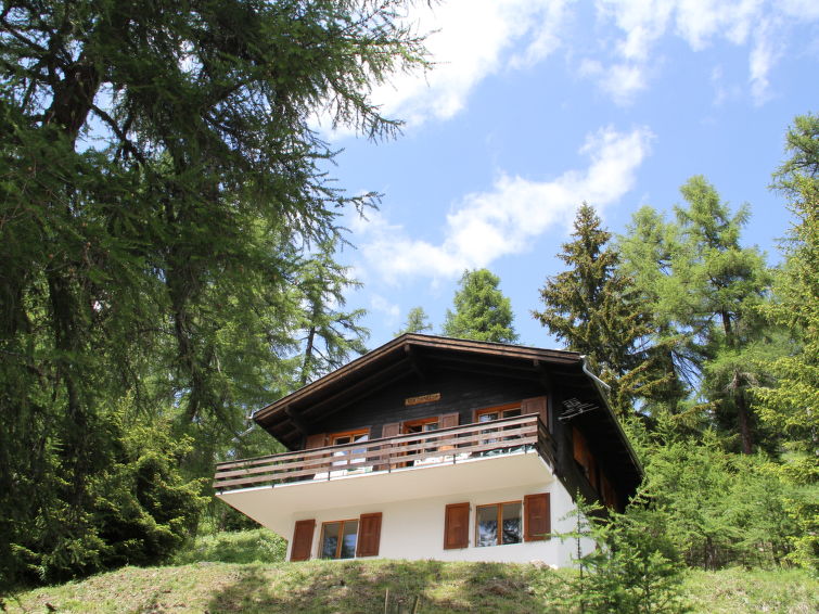 Chalet Soldanella in Bellwald: op 1 km van het centrum en aan de piste in Bellwald