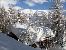 Chalet Soldanella (BEL205)