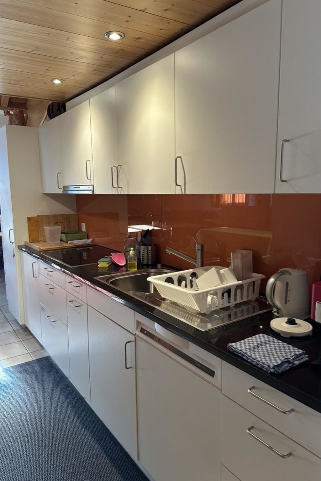 Steingräbji 1. OG Süd Appartement/Fewo, Dusche oder Bad, WC - Binnen