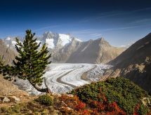 Romantische berghut Bielerchäller aan de skipiste in Fiesch - thumbnail 4