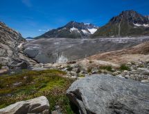 Romantische berghut Bielerchäller aan de skipiste in Fiesch - thumbnail 6