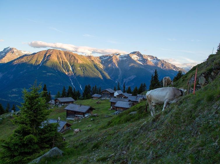 Photo of Alphütte Bielerchäller