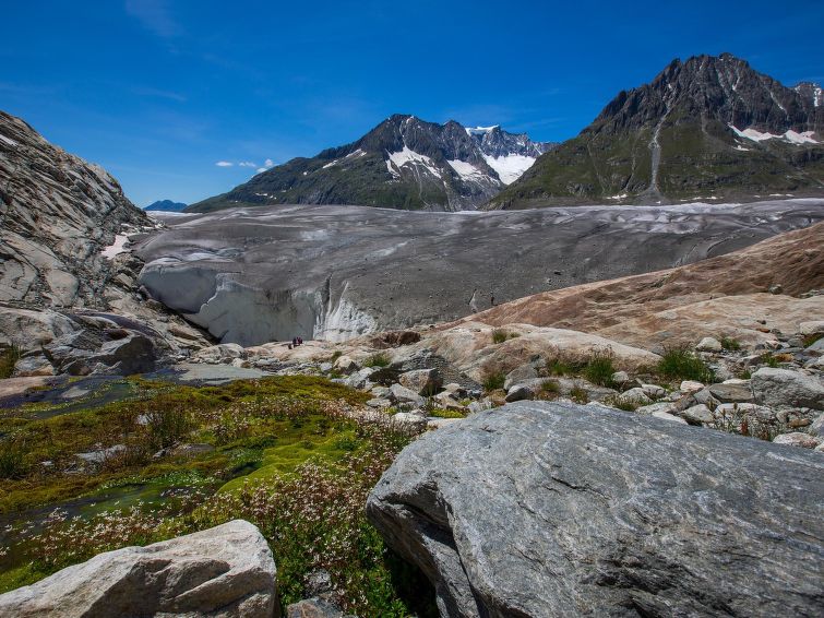 Photo of Alphütte Bielerhüs