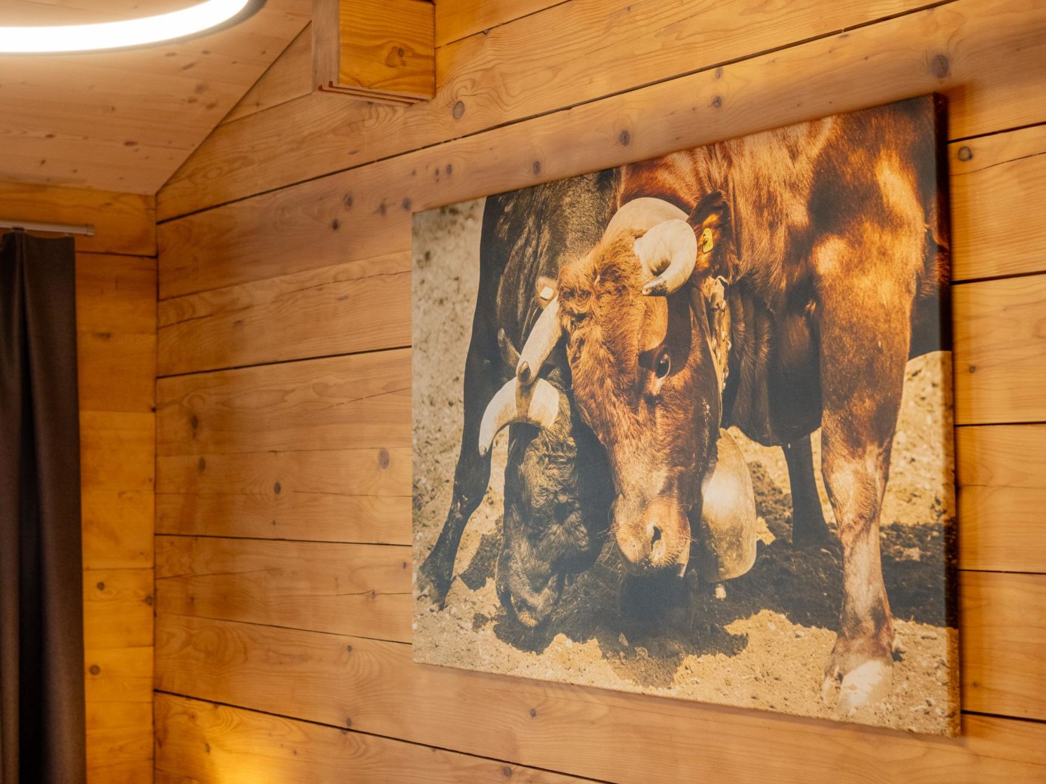 Photo of Pearl 1. OG Süd-West