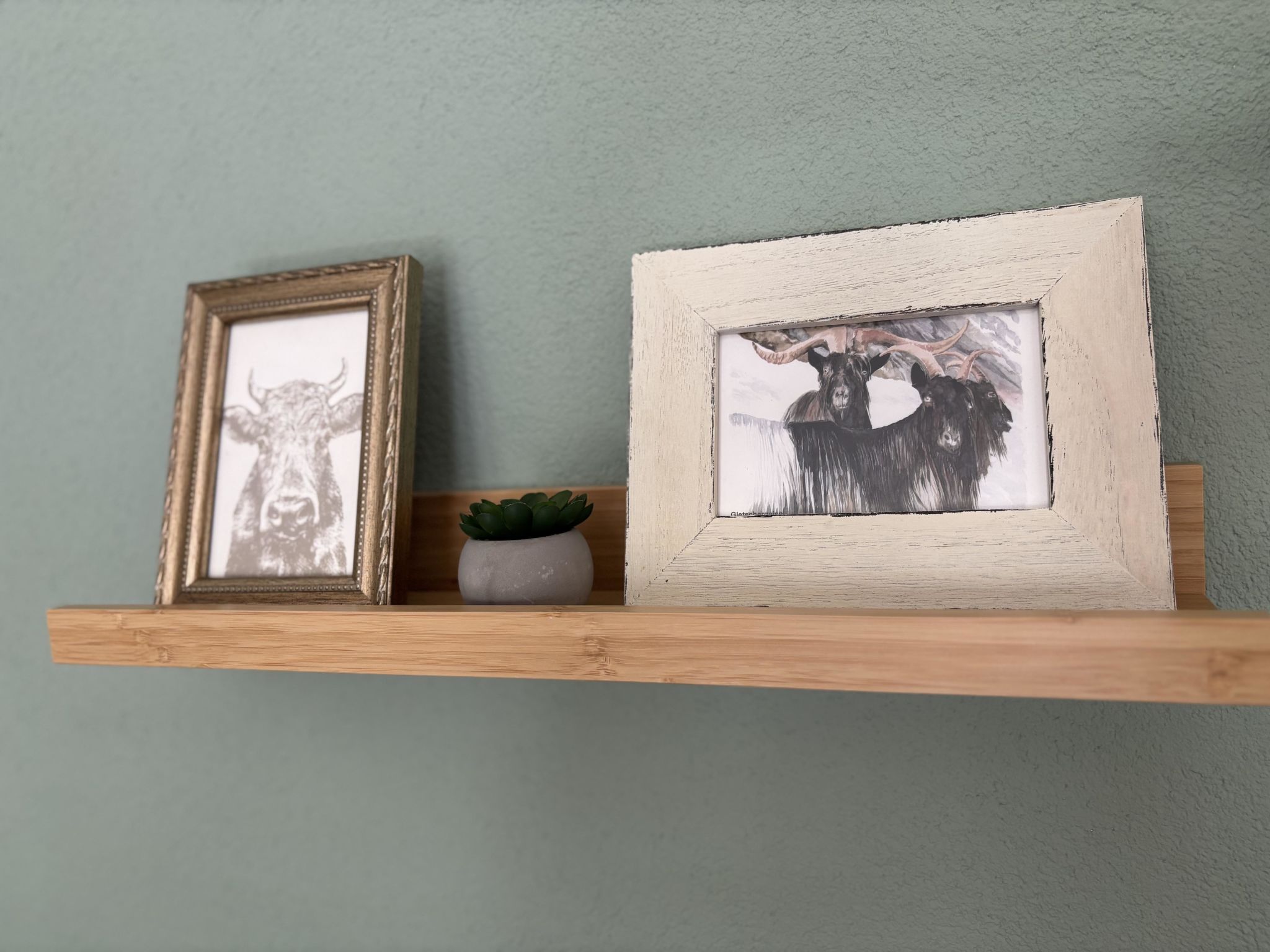 Photo of 2 1/2 Zimmerwohnung, 3-Betten