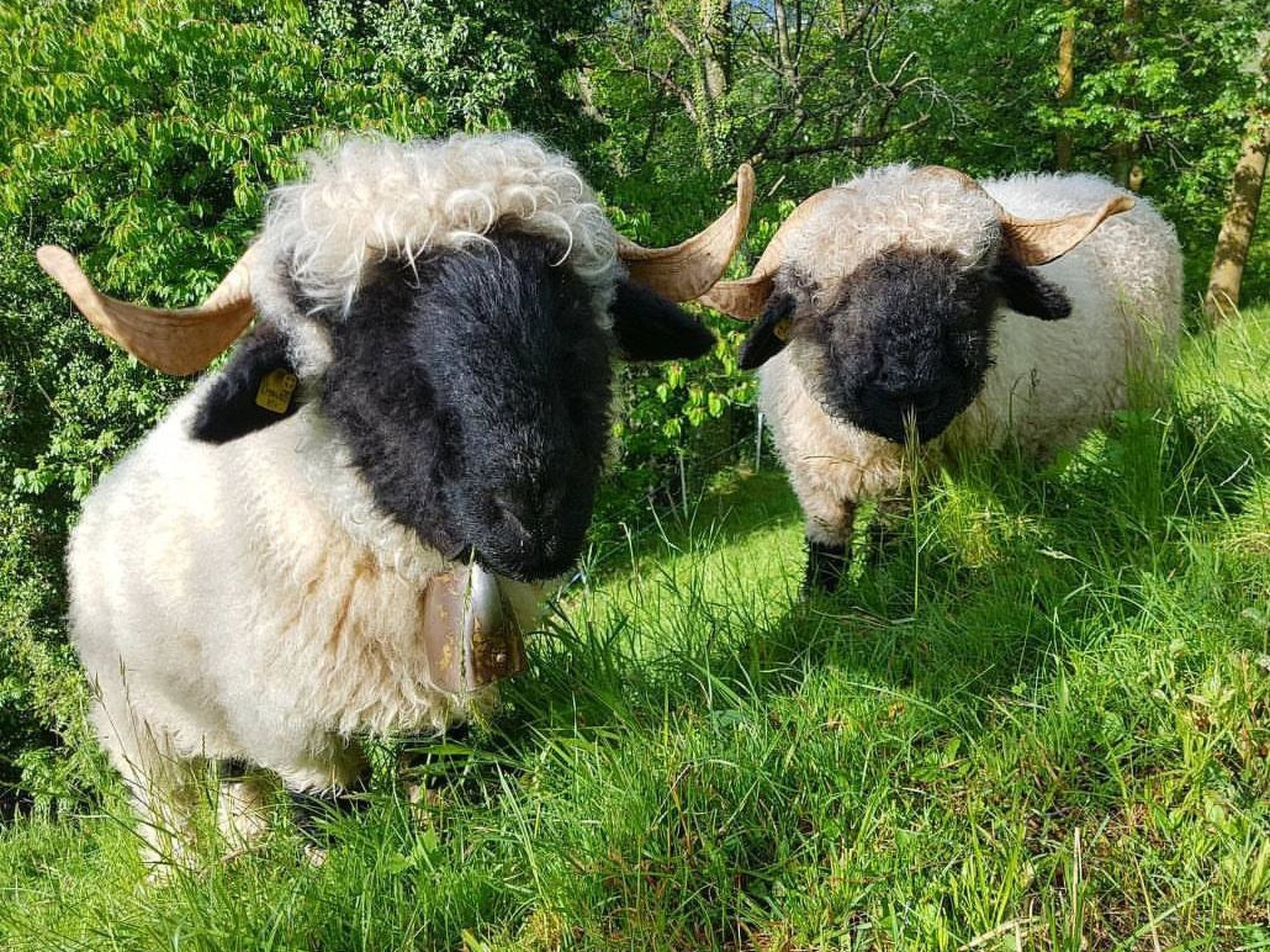 Sandgrube 2. OG Süd