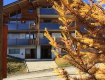 Amici 1. OG West: Duurzaam appartement direct aan de skipiste in Riederalp - thumbnail 6