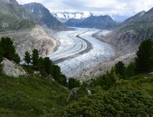Zuidwest appartement Südlenz 33 met panoramisch uitzicht op 4000-meters toppen - thumbnail 6