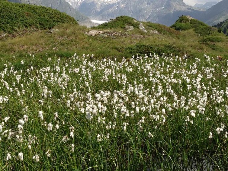 Photo of Abendrot EG Süd-West