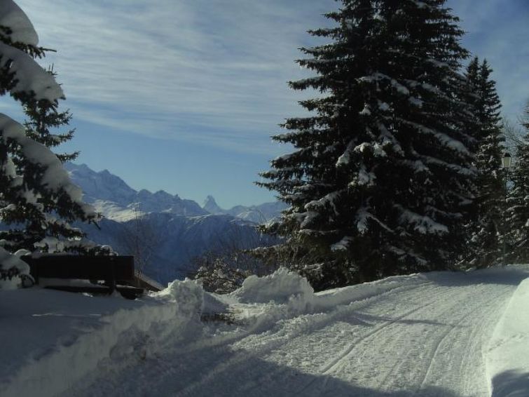 Photo of Almenrausch 2. OG Süd-Ost