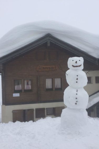 Photo of Almenrausch 2. OG Süd-Ost