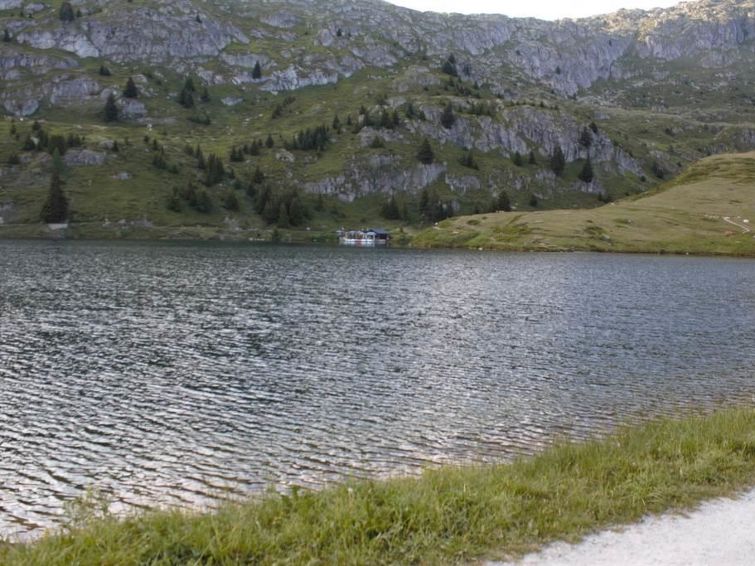 Photo of Bärgblüemli 1. OG Ost