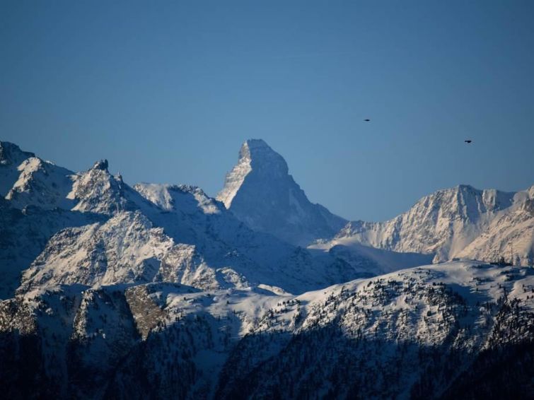 Photo of Bärgblüemli EG Süd