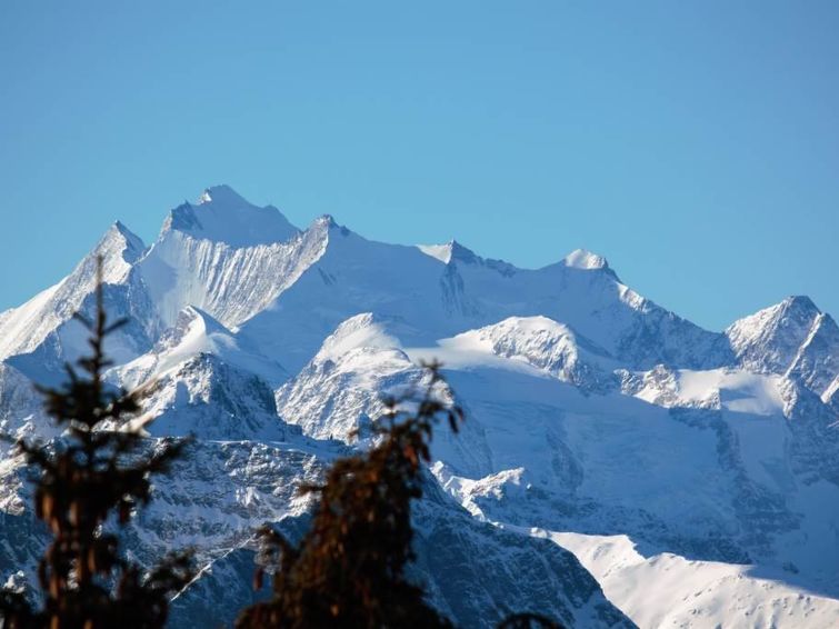 Photo of Bärgblüemli EG Süd