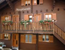 Apartmá Bärgblüemli - Parterre