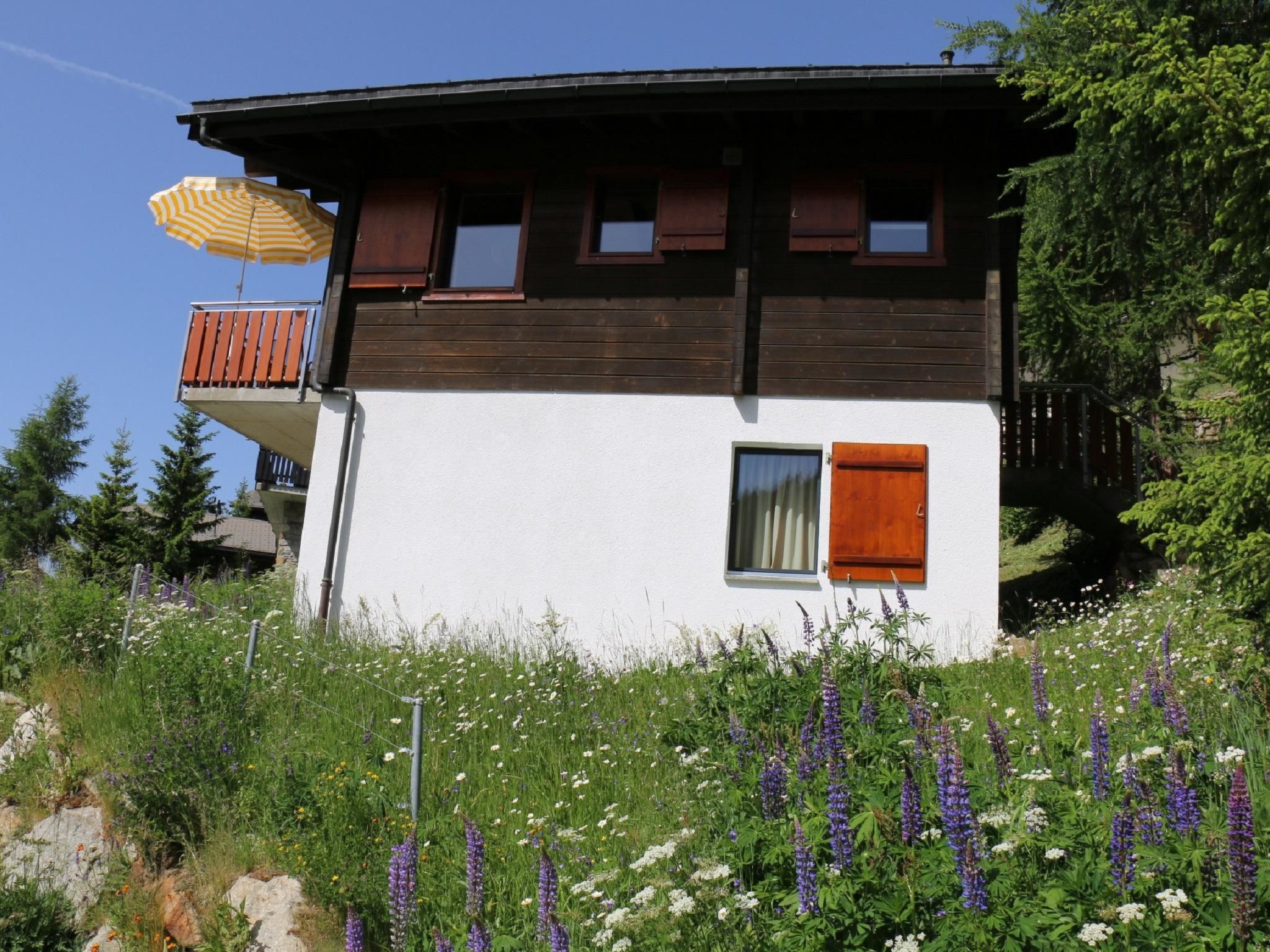 Photo of 4 1/2 Zimmerwohnung, 6-Betten