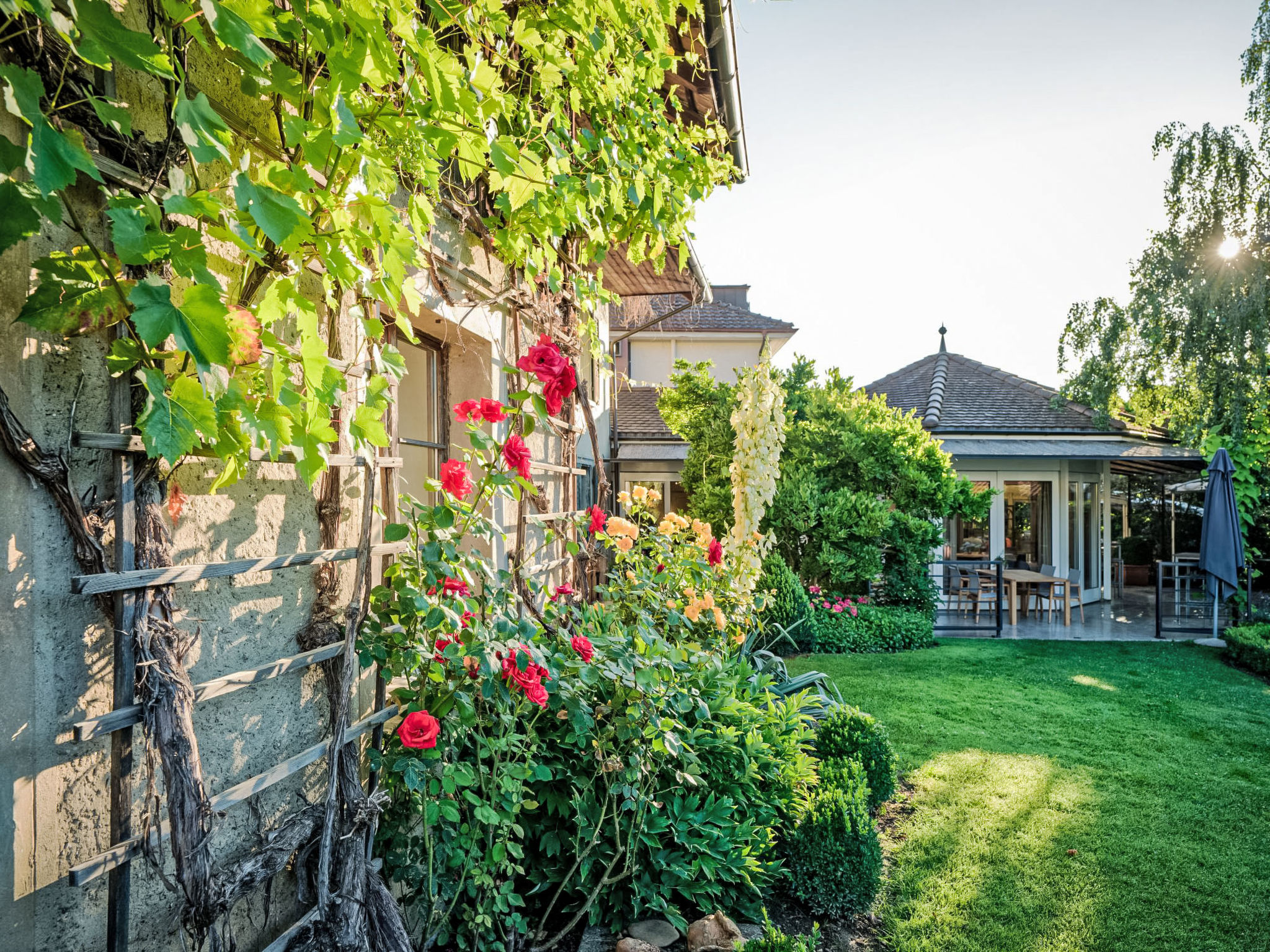 Ferienhaus in Erlinsbach (Schweiz) und 1 Hund erlaubt