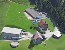 Rustieke bioboerderij voor 8 personen met uitzicht op de Alpen bij Schwarzenberg - thumbnail 2