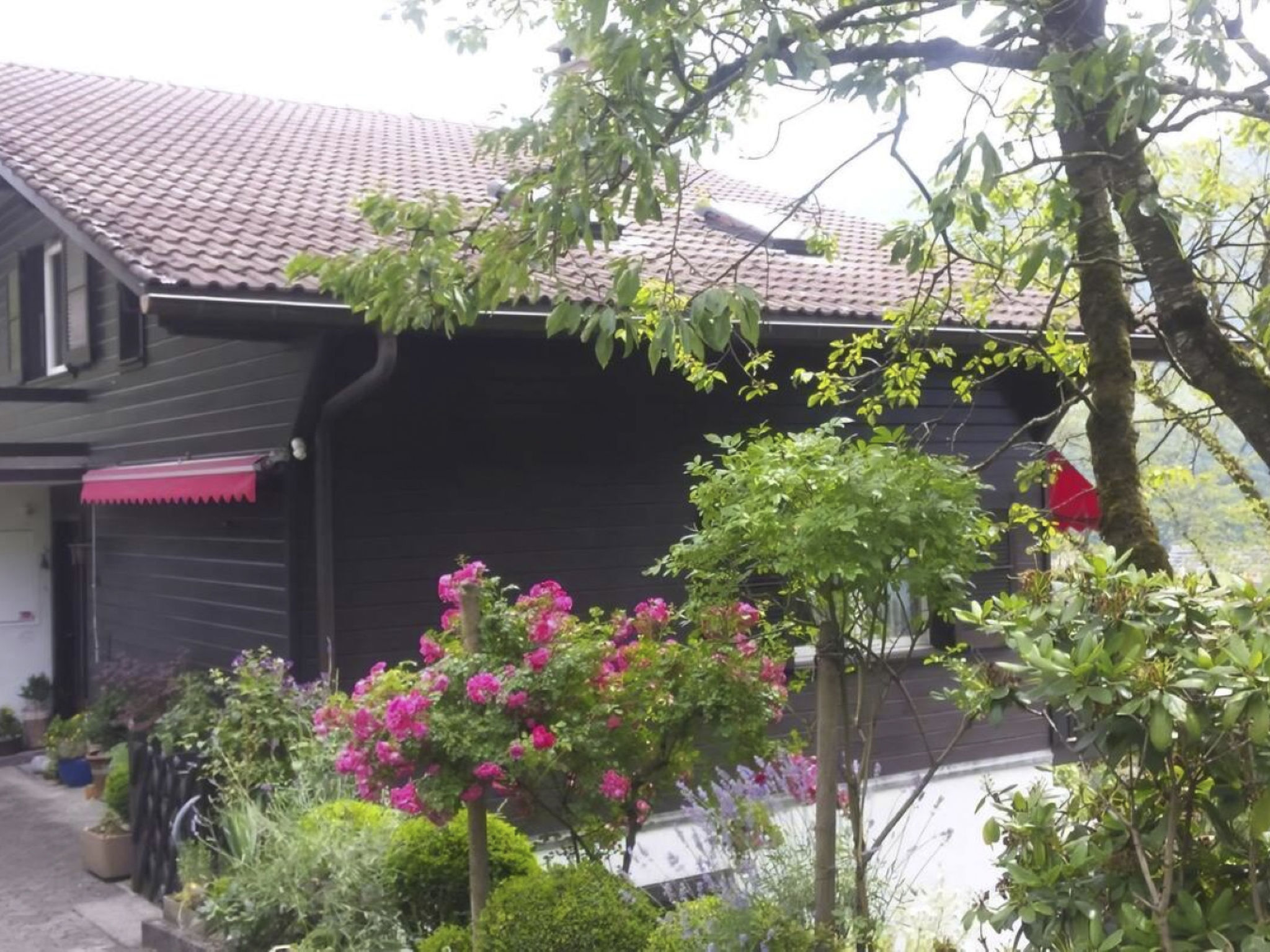 Charmantes Chalet Apartment mit Aussicht