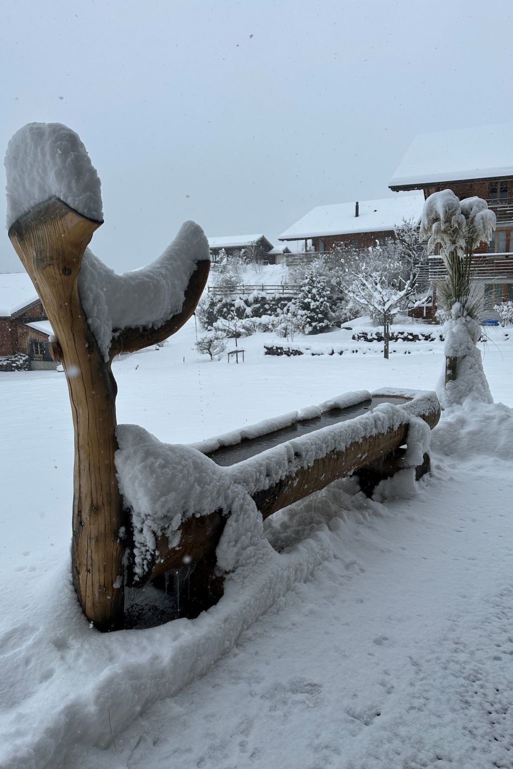 Grubi-Image-tags.info