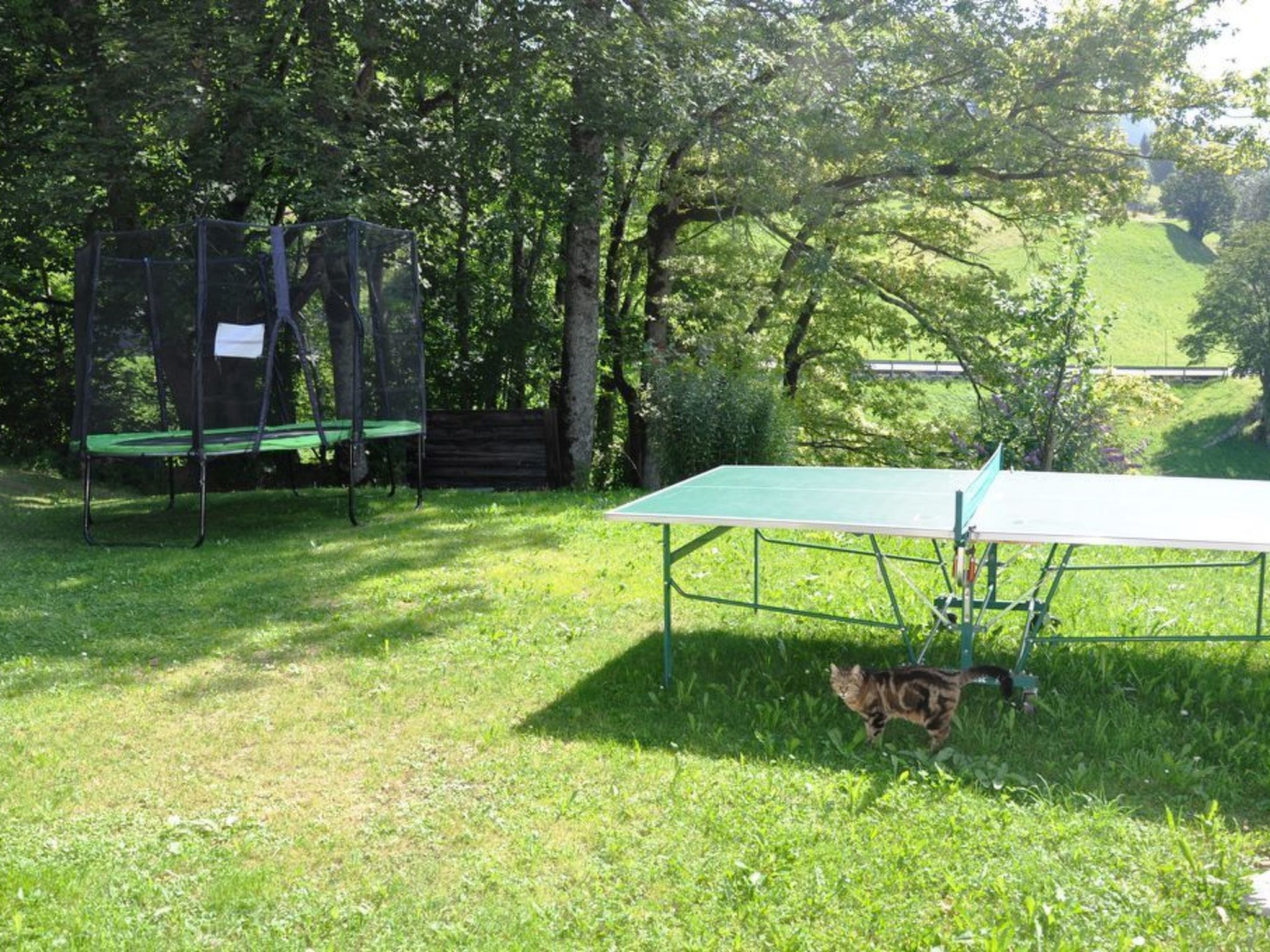 HasliRent, Holiboimi, (Hasliberg Wasserwendi). 3.5 Zimmer Wohnung im Parterre v - Image-tags.info