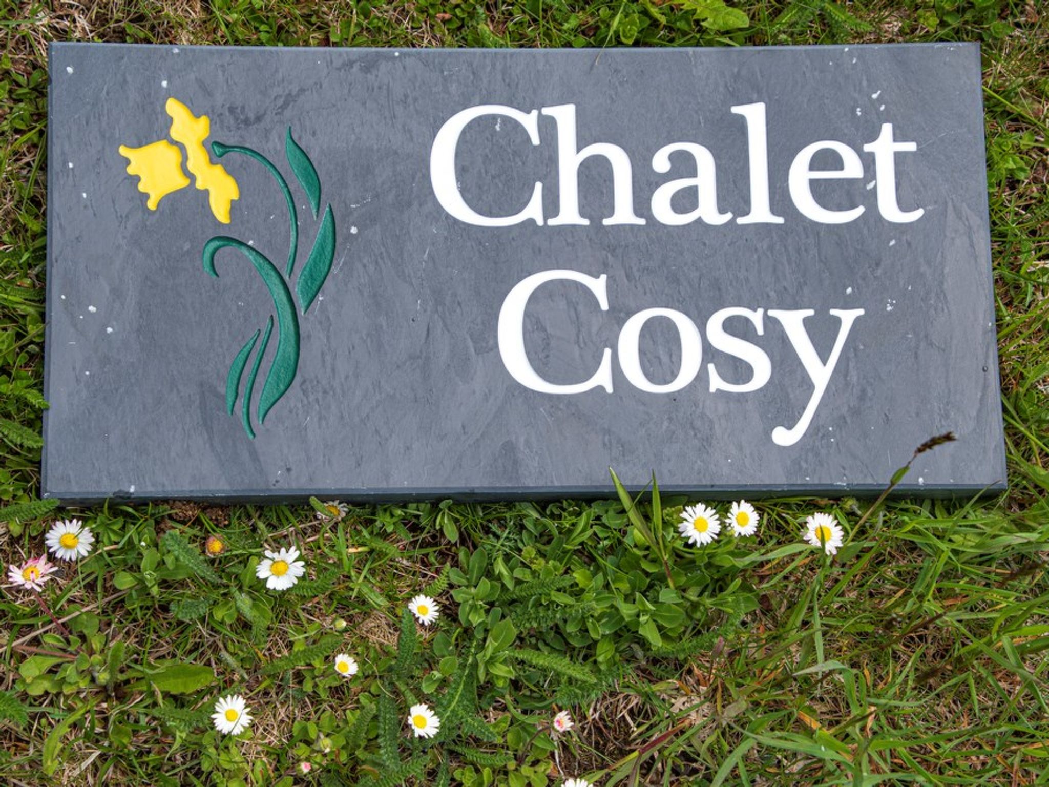 HasliRent, Cosy, (Hasliberg Wasserwendi). 1.5 Zimmer Studio im Parterre von ein - Image-tags.info