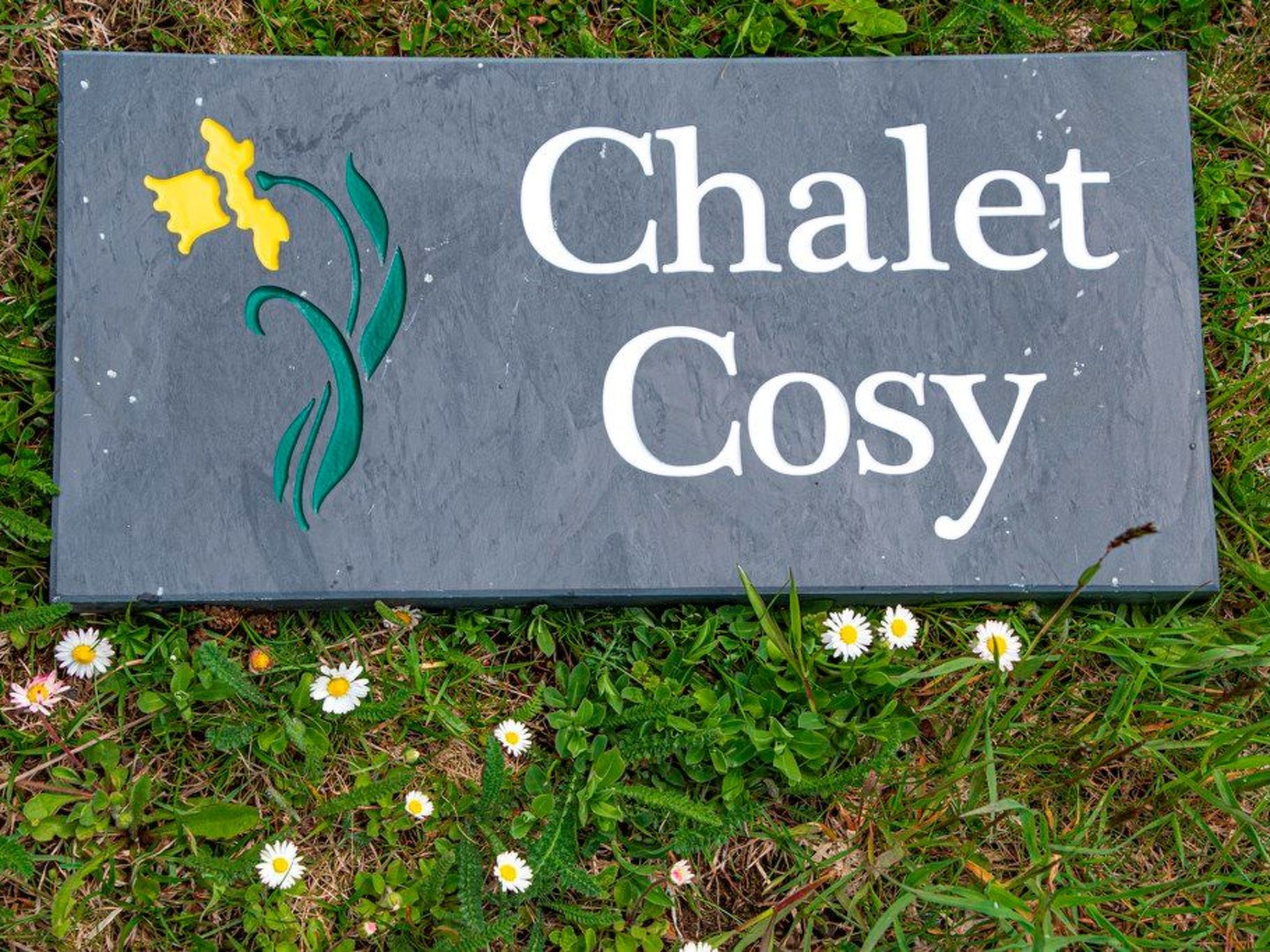 HasliRent, Cosy, (Hasliberg Wasserwendi),