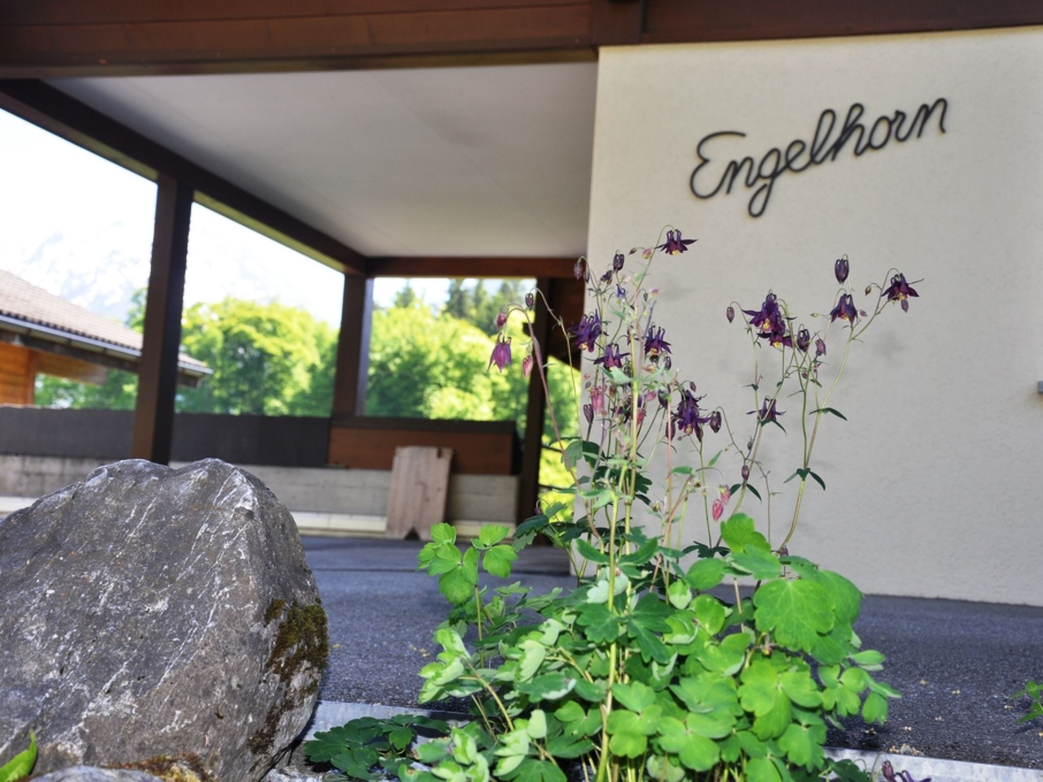 HasliRent, Engelhorn, (Hasliberg Reuti). 2.5 Zimmer Wohnung im Parterre eines M - Image-tags.info