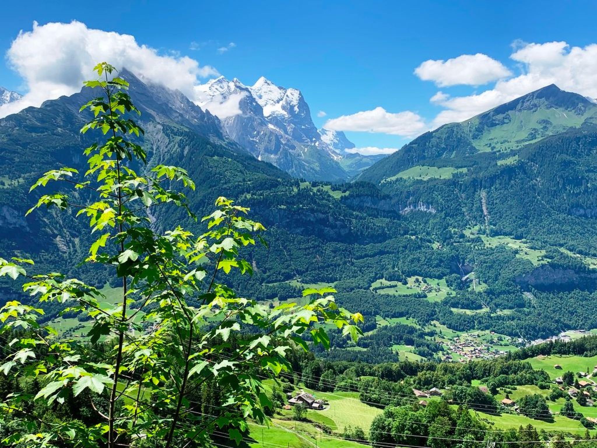 HasliRent, Wetterhornblick, (Hasliberg Reuti), - Buiten