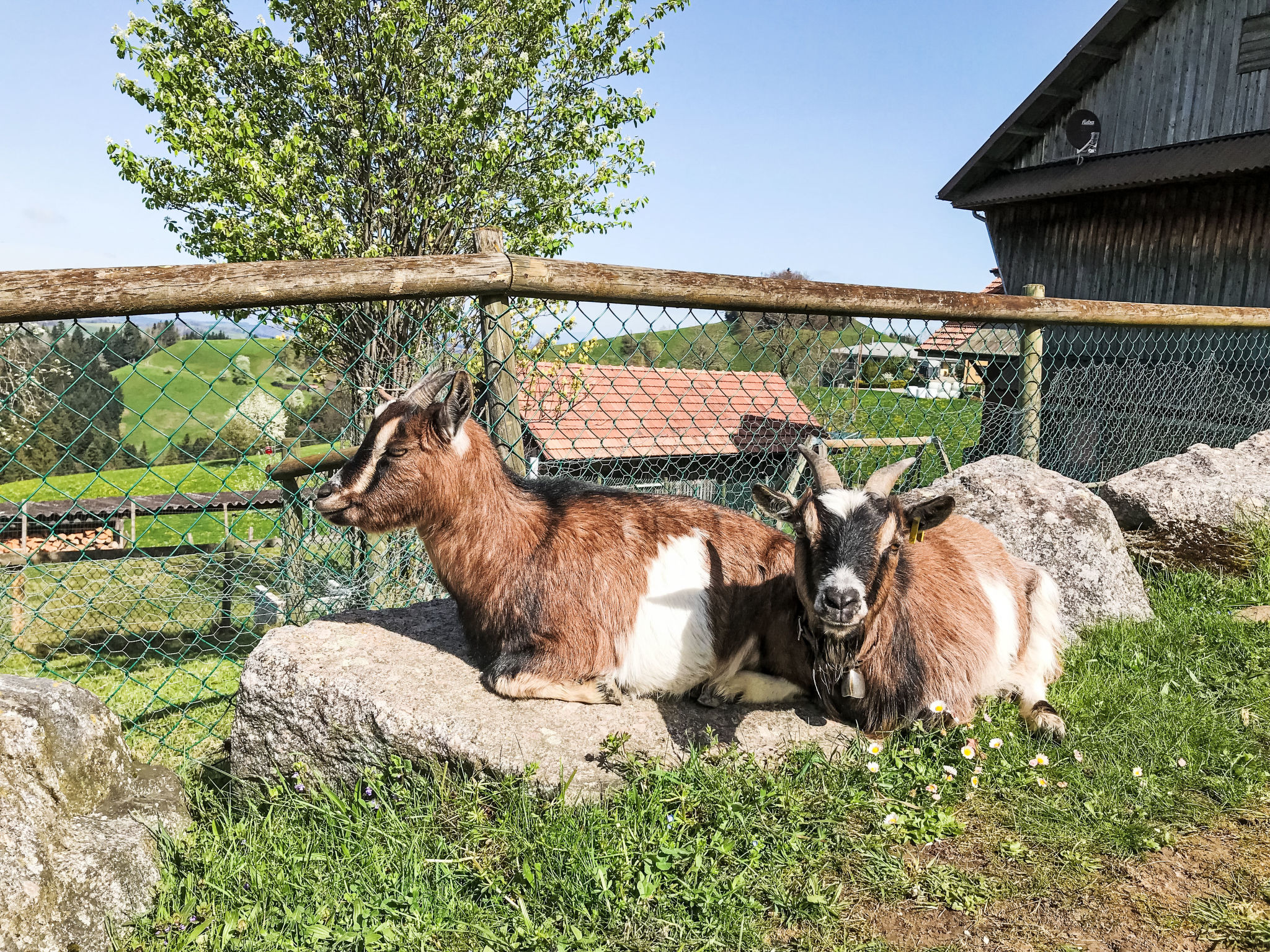 Naturfreunde