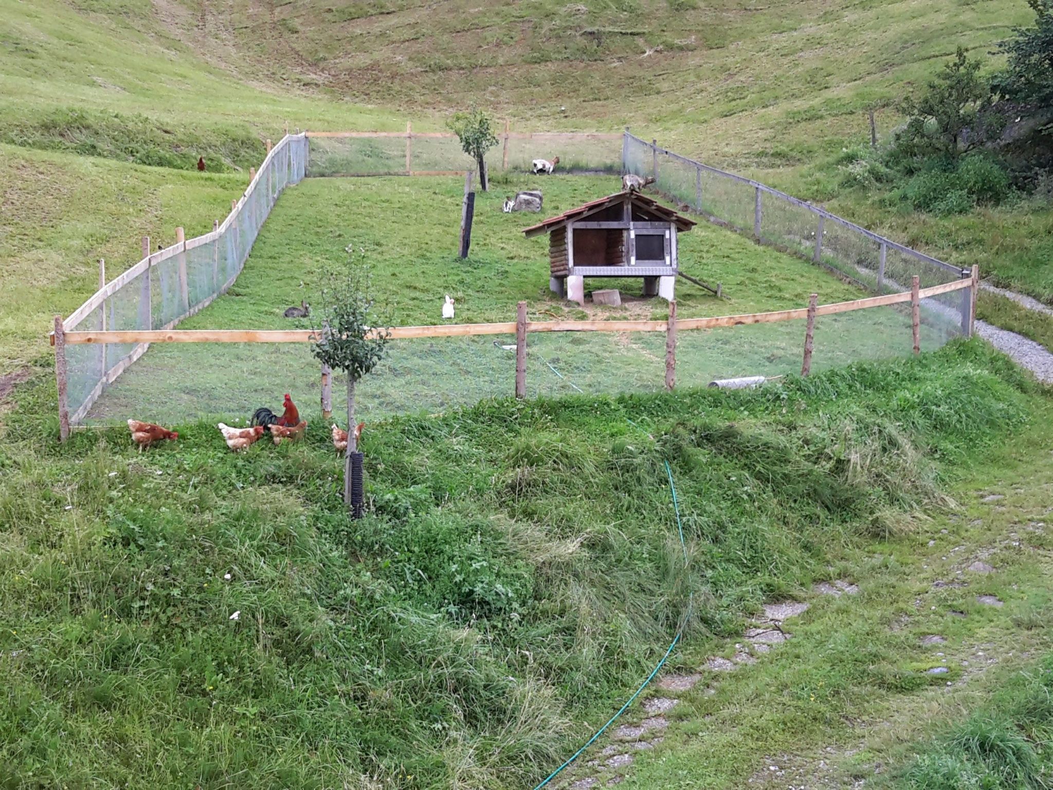 Rothornblick-Drinnen
