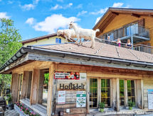 Stöckli auf dem Birkenhof: authentiek chalet met extra kamer in Sörenberg - thumbnail 2