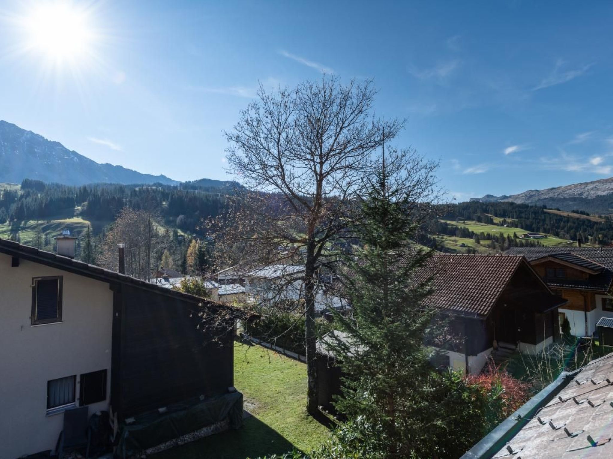 Bergwies - Image 5