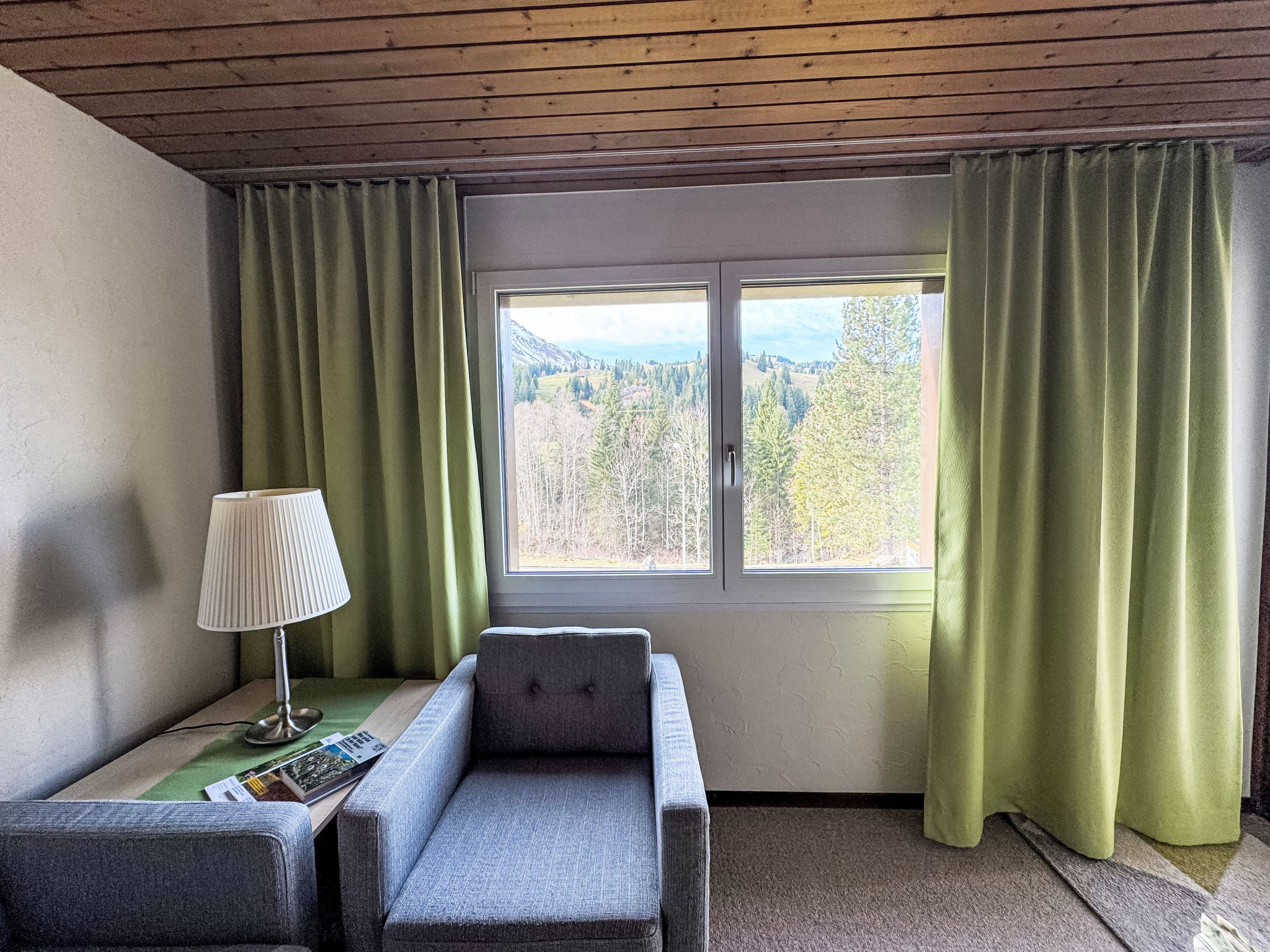 Mountain View Lodge - Inside