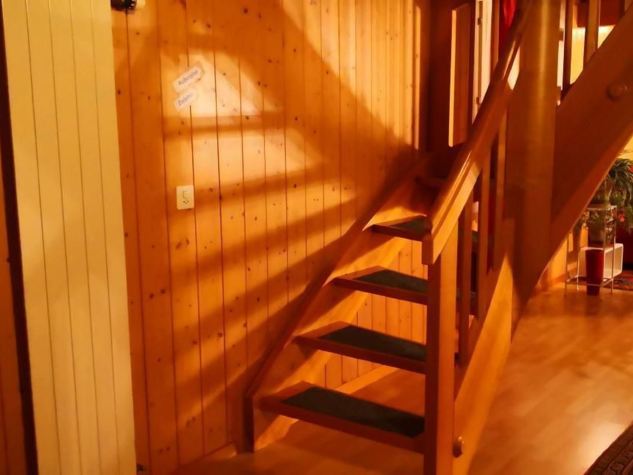 Karotte-Image-tags.info