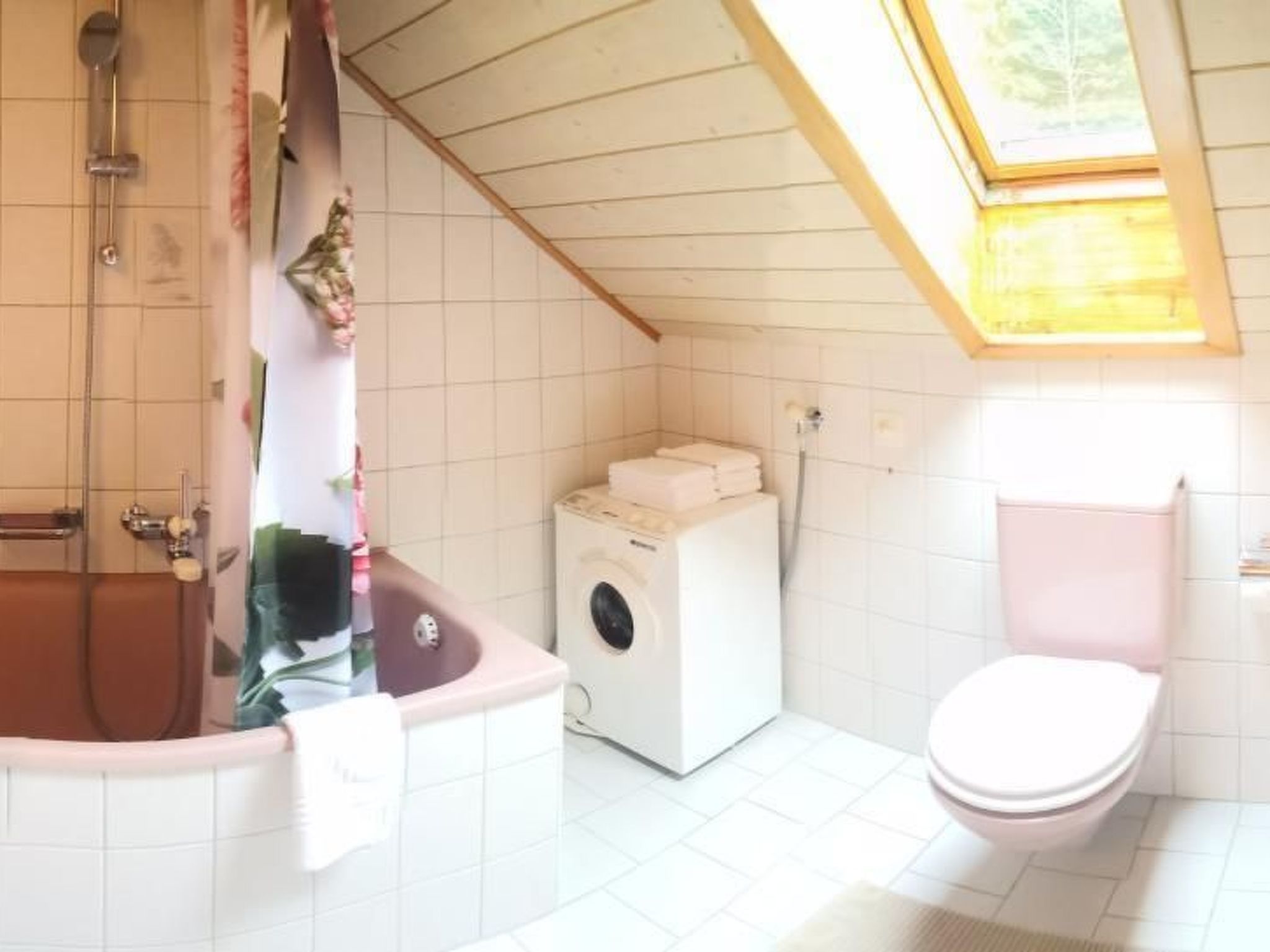 Karotte-Image-tags.info