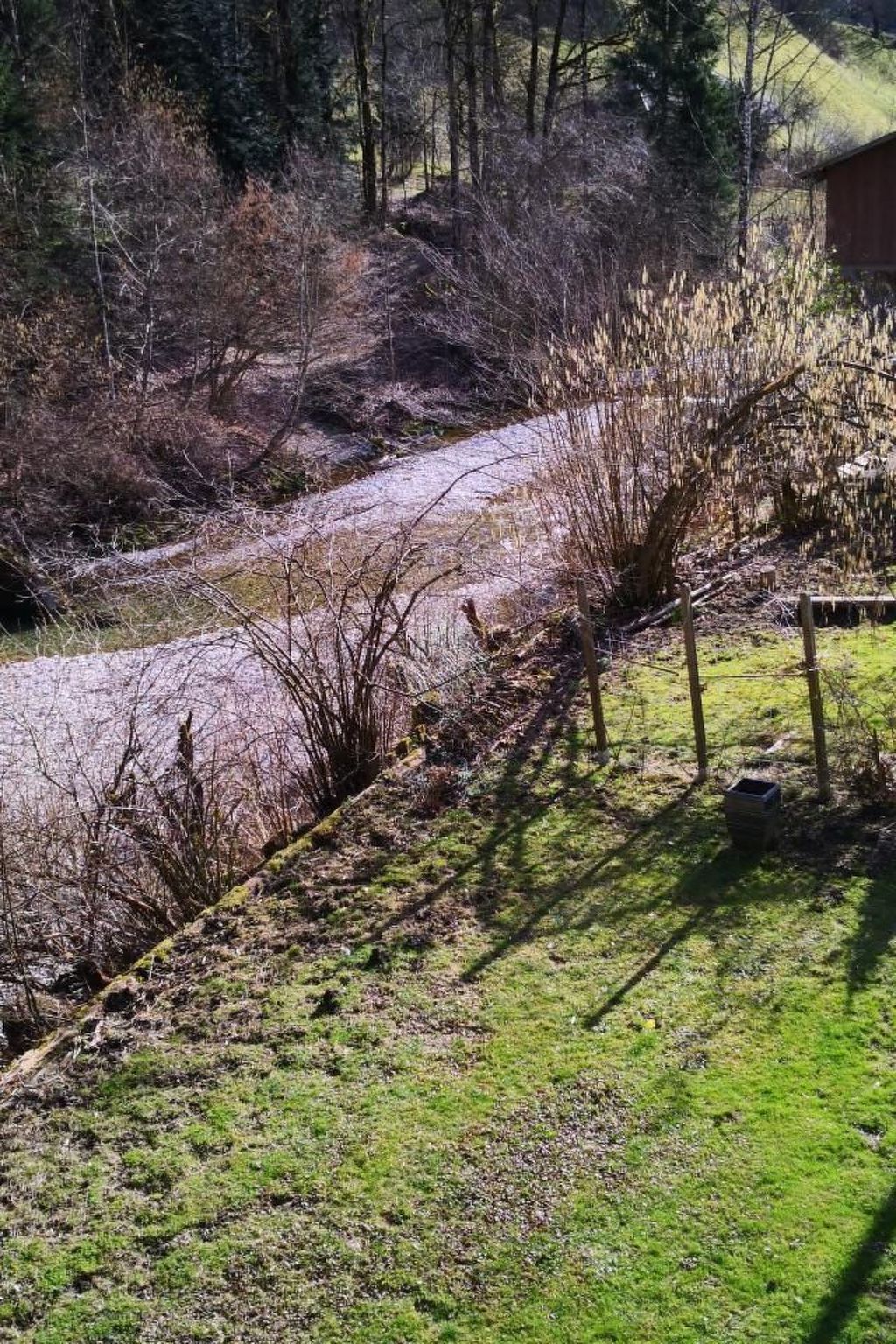 Karotte-Image-tags.info